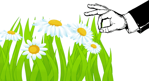 拈花惹草 - niān huā rě cǎo