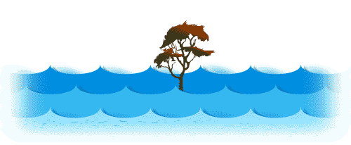 沧海一粟 - cāng hǎi yī sù