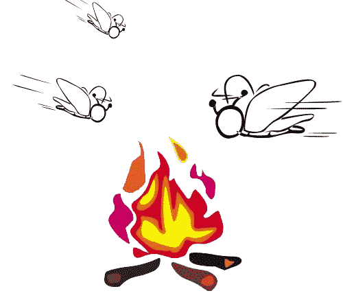 飞蛾扑火 - fēi é pū huǒ