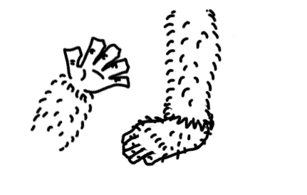 毛手毛脚 - máo shǒu máo jiǎo