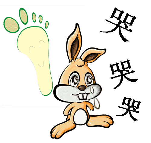 狡兔三窟 - jiǎo tù sān kū