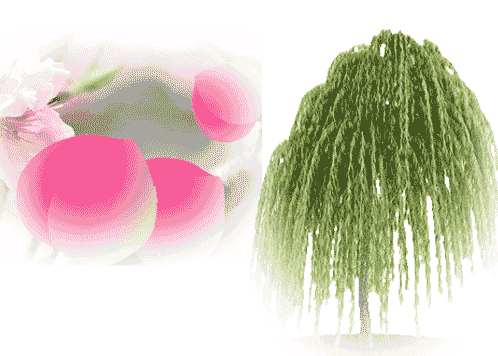 桃红柳绿 - táo hóng liǔ lǜ