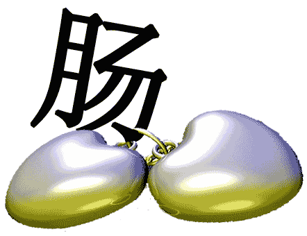 铁石心肠 - tiě shí xīn cháng