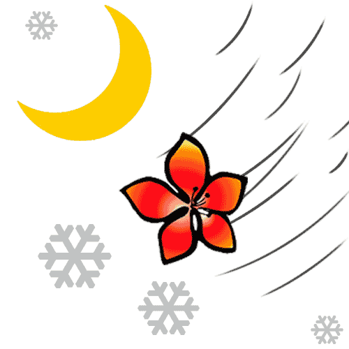 风花雪月 - fēng huā xuě yuè