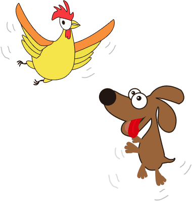 鸡飞狗跳 - jī fēi gǒu tiào