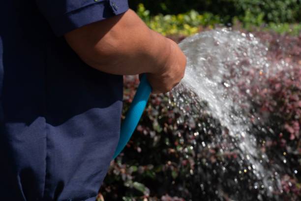 浇水 - jiāo shuǐ