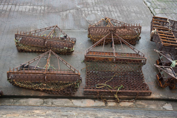 陷阱 - xiàn jǐng