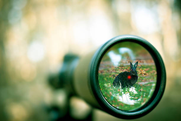 瞄准 - miáo zhǔn