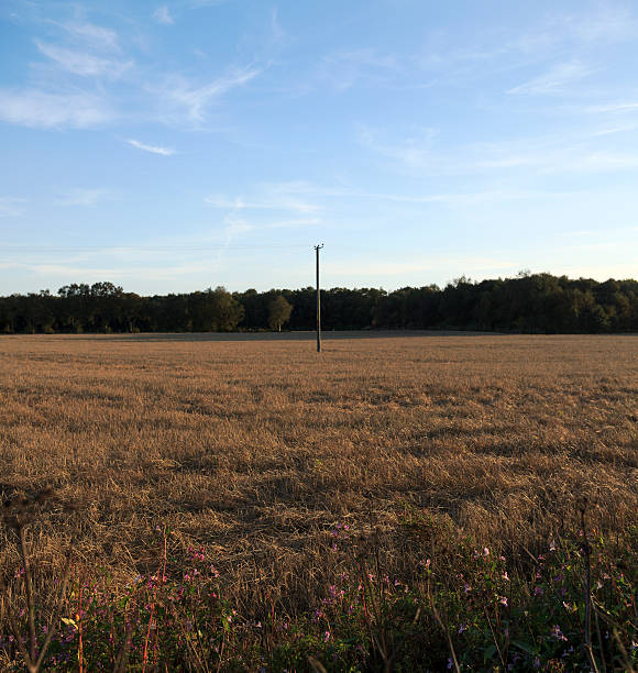 静场 - jìng chǎng