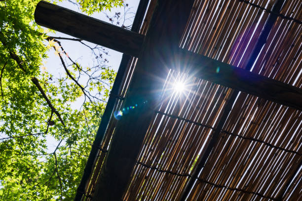 漏光 - lòu guāng