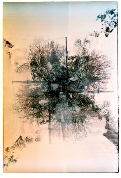 倒像 - dào xiàng