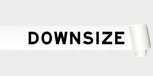 精简 - jīng jiǎn