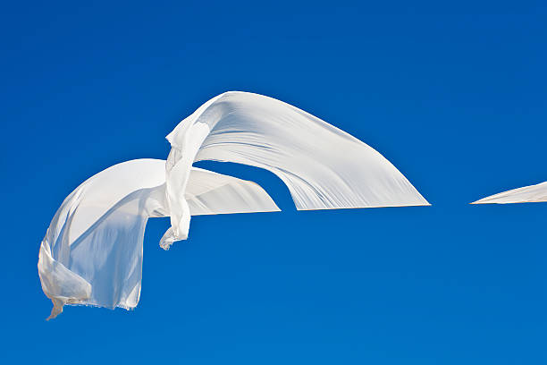 飘展 - piāo zhǎn