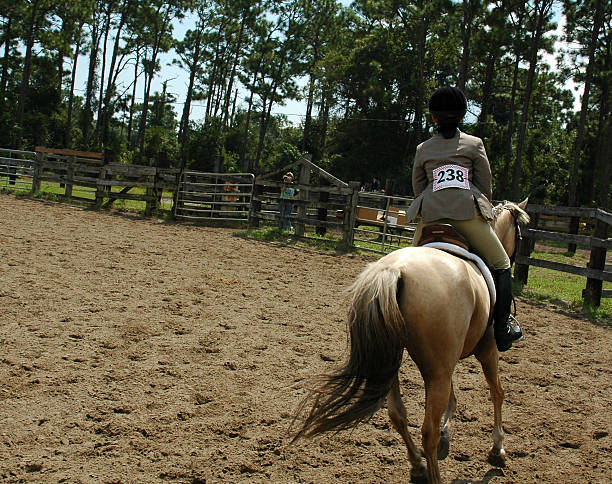 等同 - děng tóng