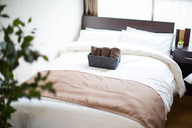 板床 - bǎn chuáng