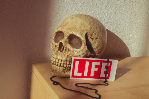 断命 - duàn mìng