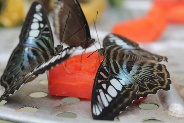 变换 - biàn huàn