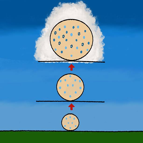 湿生 - shī shēng