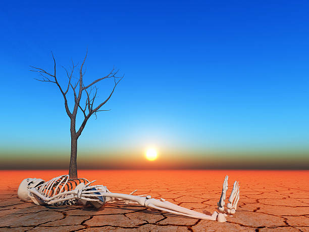 终岁 - zhōng suì