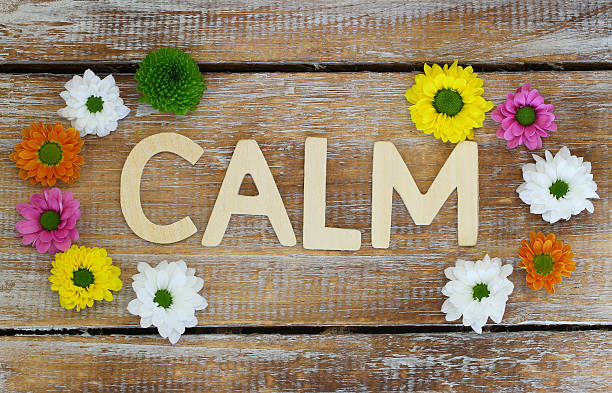 镇定 - zhèn dìng