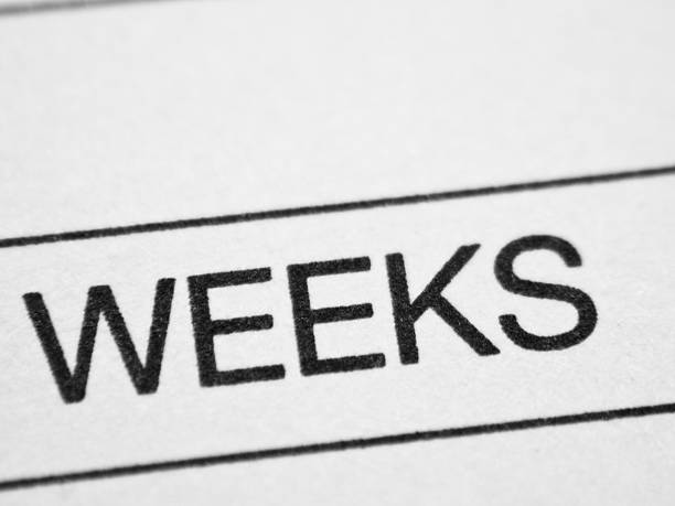 兆周 - zhào zhōu