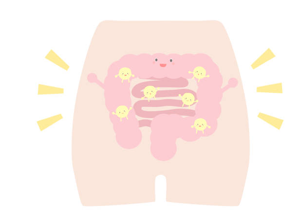 空肠 - kōng cháng