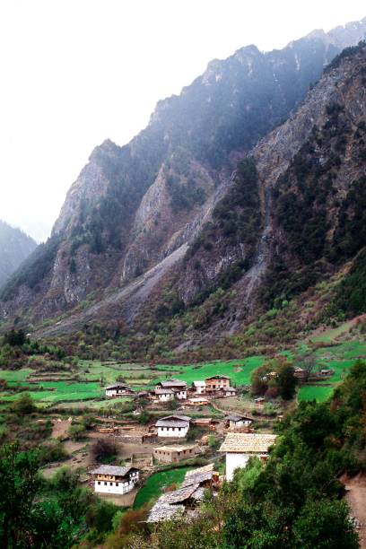 沧桑 - cāng sāng