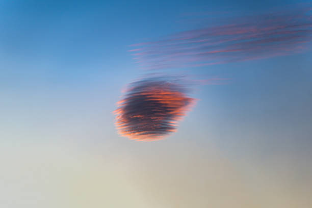 观赏 - guān shǎng