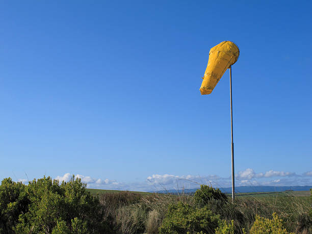 望风 - wàng fēng