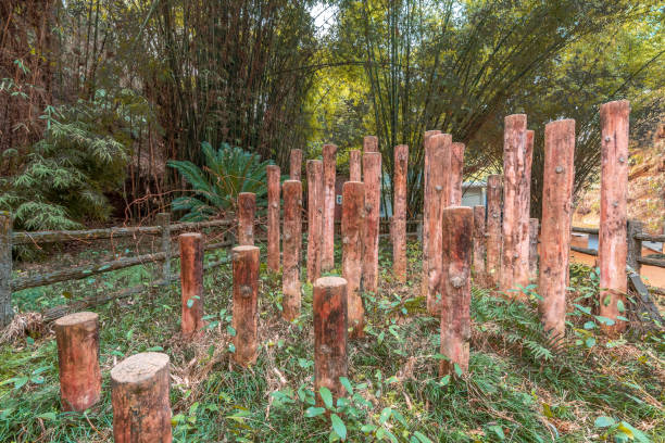 中华 - zhōng huá