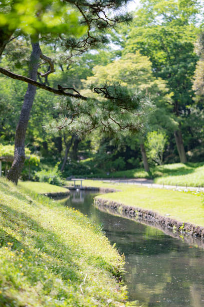 上水 - shàng shuǐ