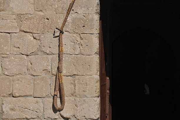 祸种 - huò zhǒng