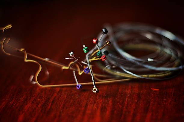 蛰虫 - zhé chóng