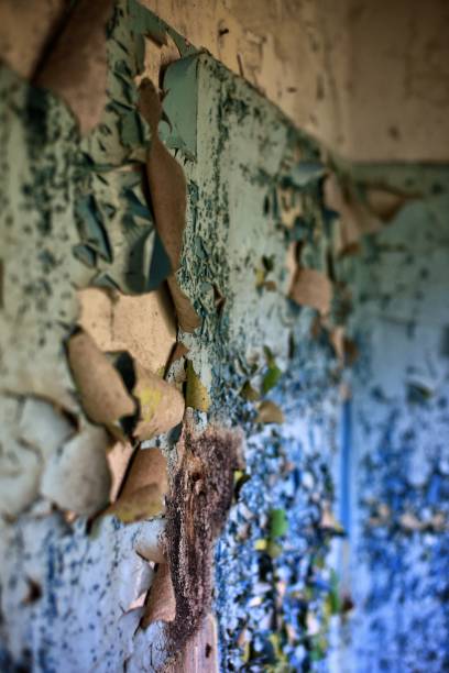 衰损 - shuāi sǔn