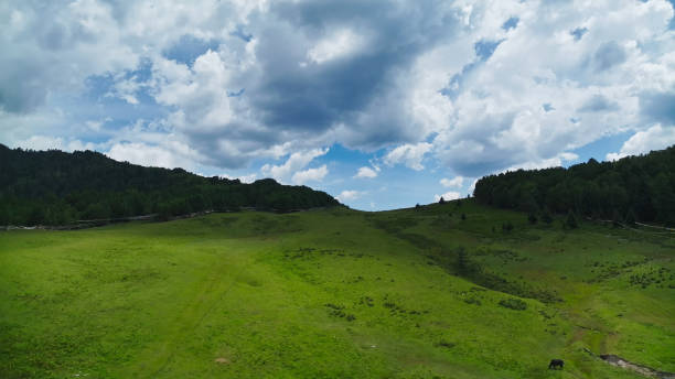 山寨 - shān zhài