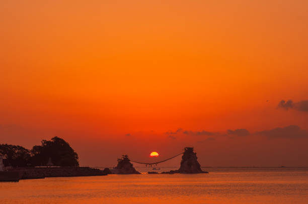 上疏 - shàng shū