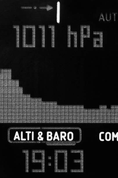 统率 - tǒng shuài