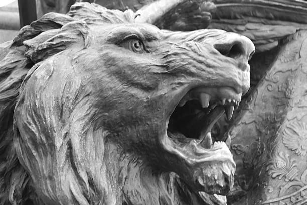 猛兽 - měng shòu