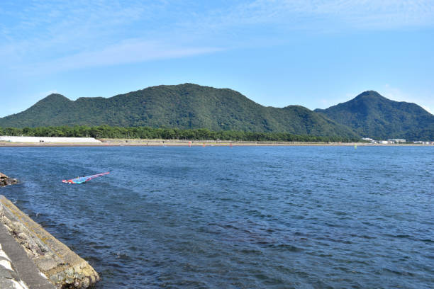 清兵 - qīng bīng