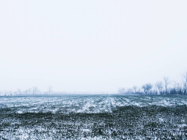 冷场 - lěng chǎng