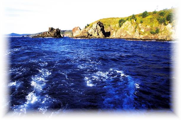 青空 - qīng kōng