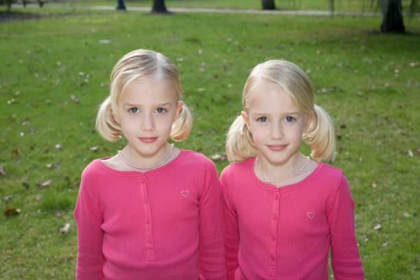 双生 - shuāng shēng