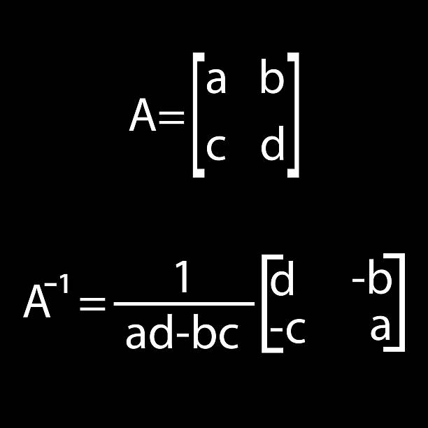 定从 - dìng cóng