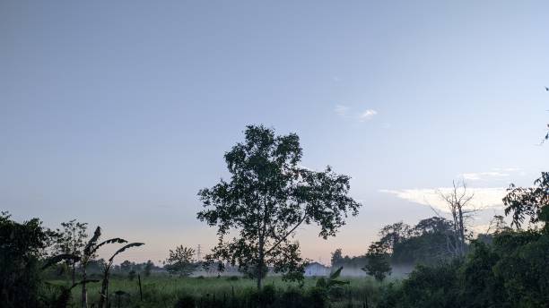 凌晨 - líng chén