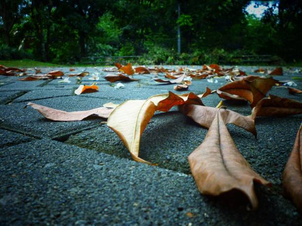 掉向 - diào xiàng