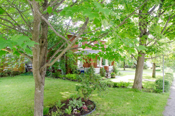 前院 - qián yuàn