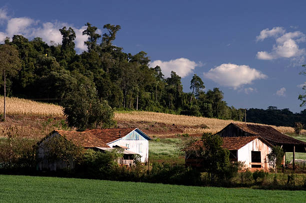 乡间 - xiāng jiān