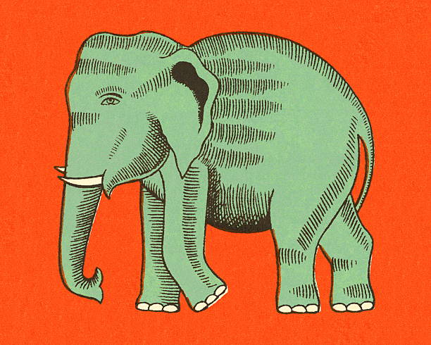 象角 - xiàng jiǎo