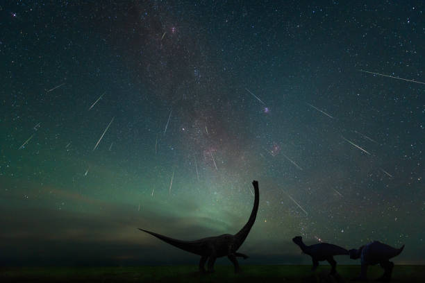 恐龙 - kǒng lóng