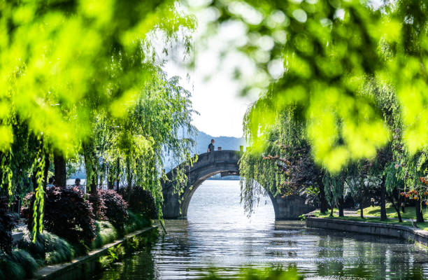 拱桥 - gǒng qiáo